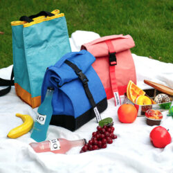 backpack lunch bag